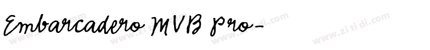 Embarcadero MVB Pro字体转换
